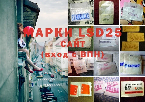 тгк Аркадак