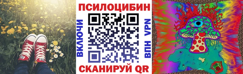 Псилоцибиновые грибы прущие грибы  купить  сайты  Ипатово 